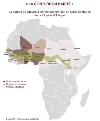 Les grands enjeux des dynamiques politiques du karité de l’Afrique de l’ouest